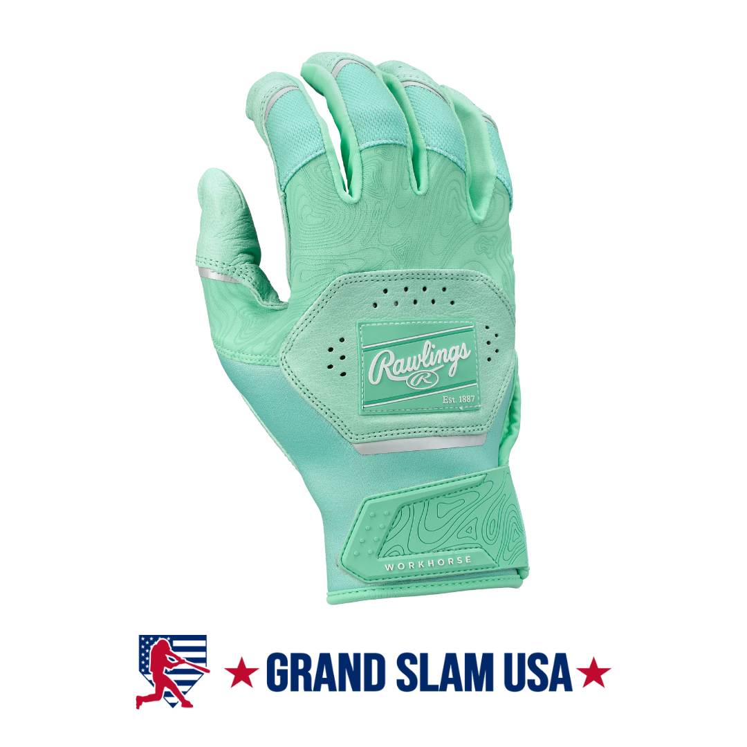 Rawlings mint glove store